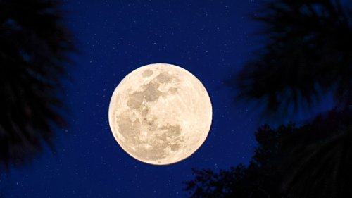 How the Last Supermoon of 2022 on August 11 Will Impact You Astrologically