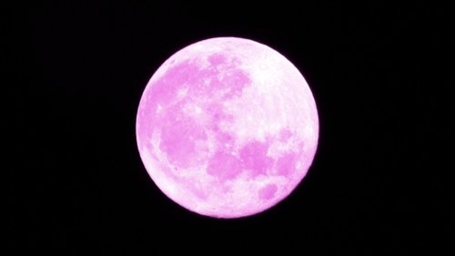 What the June 2023 Full Strawberry Moon Means for You, Astrologically
