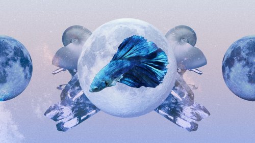 Pisces October 2023 Horoscope: Read Your Monthly Predictions