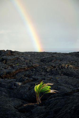The Poetry in Hawai‘i’s Rain - Alohilani - Elevate