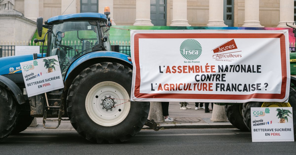 Les reculs écologiques de la loi Duplomb aideront-ils vraiment les agriculteurs ?