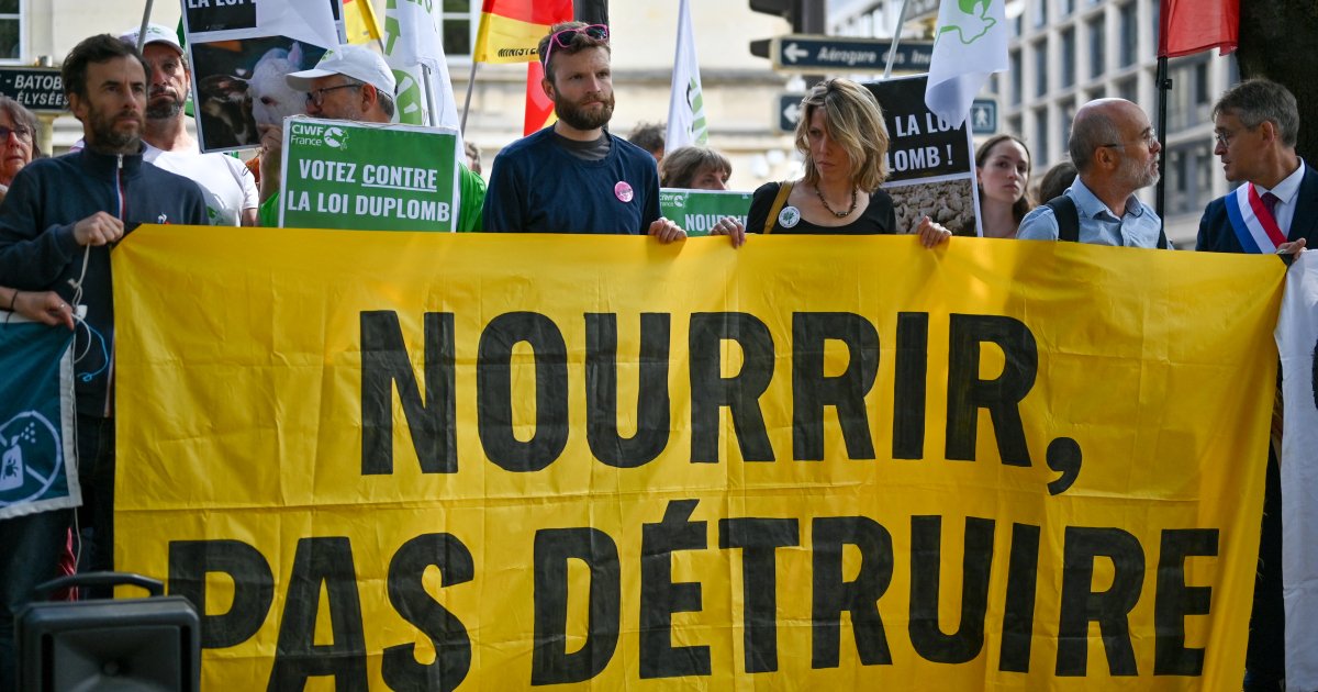 Loi Duplomb : la contre-offensive face à un modèle agricole mortifère