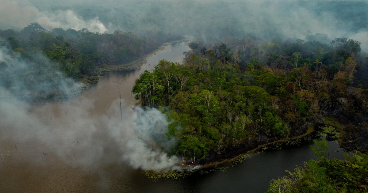 Le nouveau report du règlement européen sur la déforestation est l&rsquo;arbre qui cache la forêt
