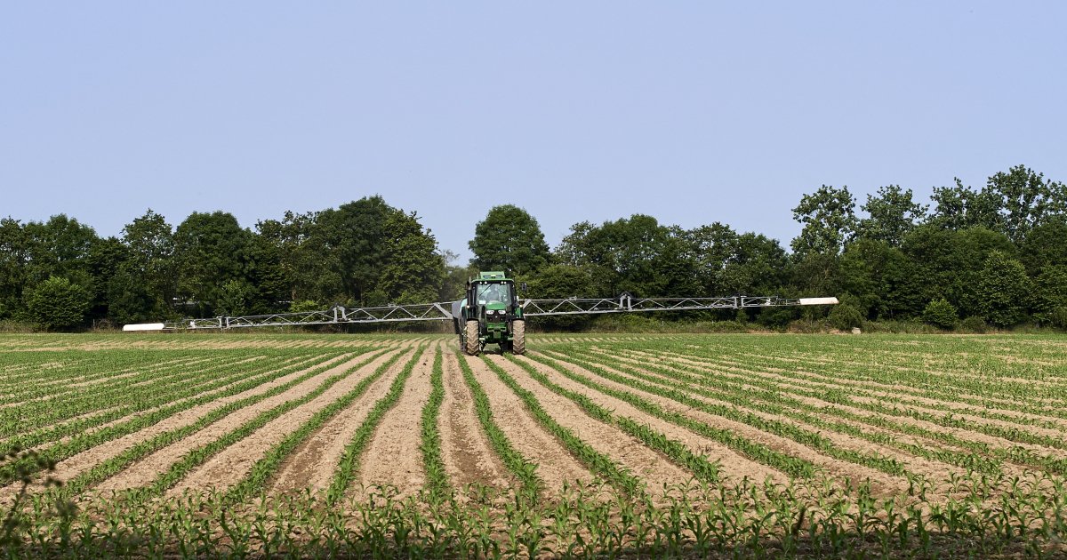 8 milliards de subventions agricoles contribuent à détruire la biodiversité
