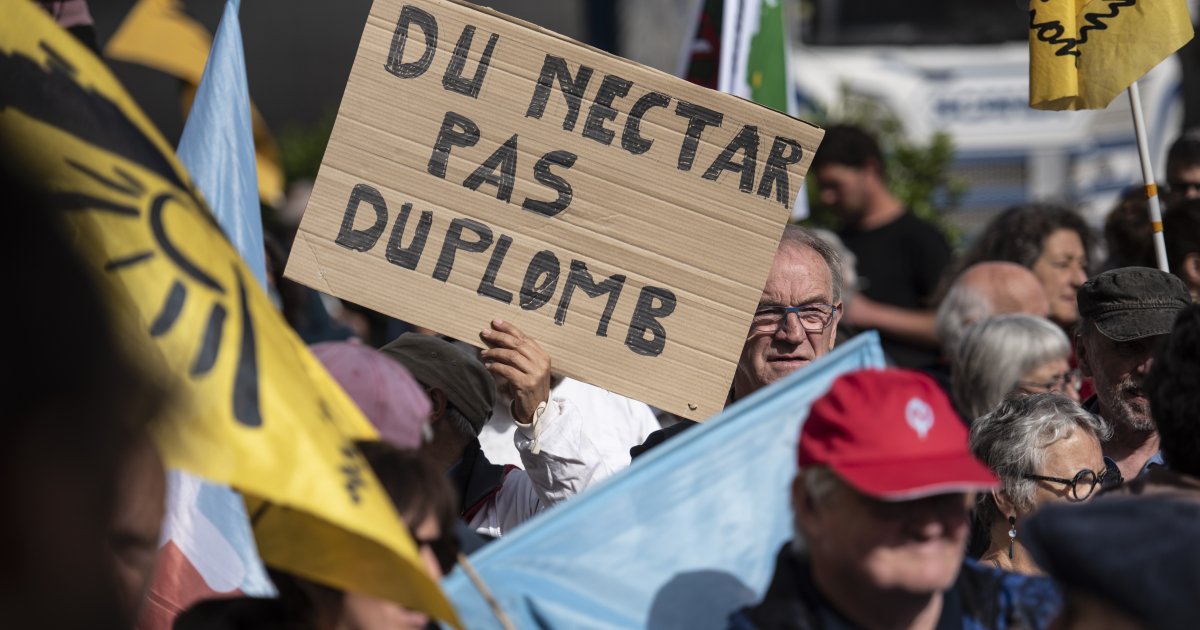 Philippe Pointereau : « Le succès de la pétition contre la loi Duplomb montre que les défenseurs de l’agriculture intensive sont allés trop loin »