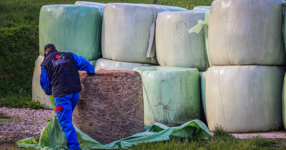 Lactalis abandonne 250 producteurs pour mieux concentrer le lait