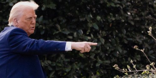 'He is now the law': Experts say Trump believes he’s 'not constrained by the Constitution'