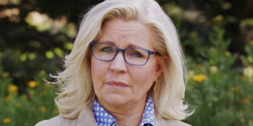 Watch: Liz Cheney calls Donald Trump's lies 'a cancer' in powerful final pitch to voters