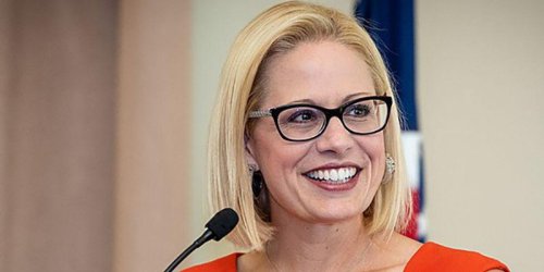 'Needs to resign or be removed from office': Sinema scorched for 'stupidest speech by a Democrat'