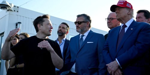 'Slow burn': GOP strategists warn of 'mounting voter frustration' with Musk’s 'keys to the castle'