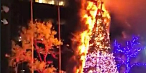 'Fox News Christmas tree' goes up in flames as man is arrested for torching it