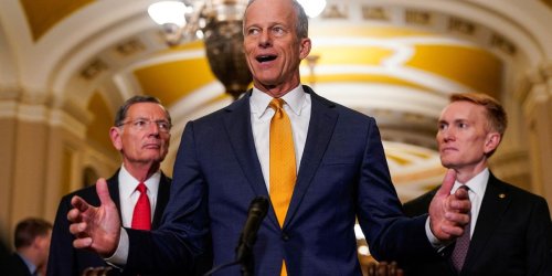 'Reeking corruption': 16 senate Dems join Republicans to advance Trump bill
