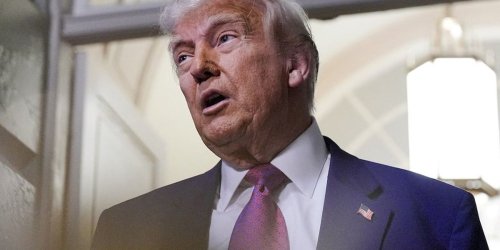 'Nobody wants to be on his radar': CEOs 'afraid of Trump' watching their words in public