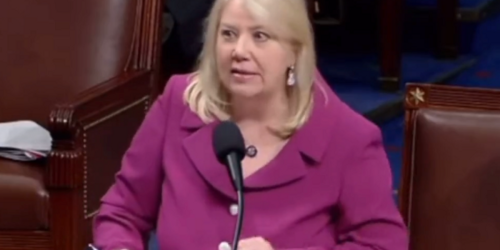 Twitter detonates over leaked video of House Republican saying she would shoot her grandkids