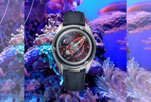 Conoce el diseño que desafía las convenciones: Freak Vision Coral Bay - Alto Nivel