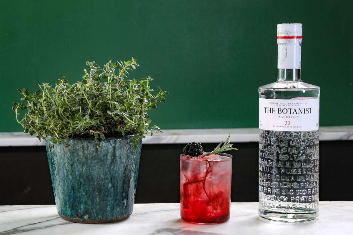 The classic cocktail Bramble recipe remade with Botanist Gin!