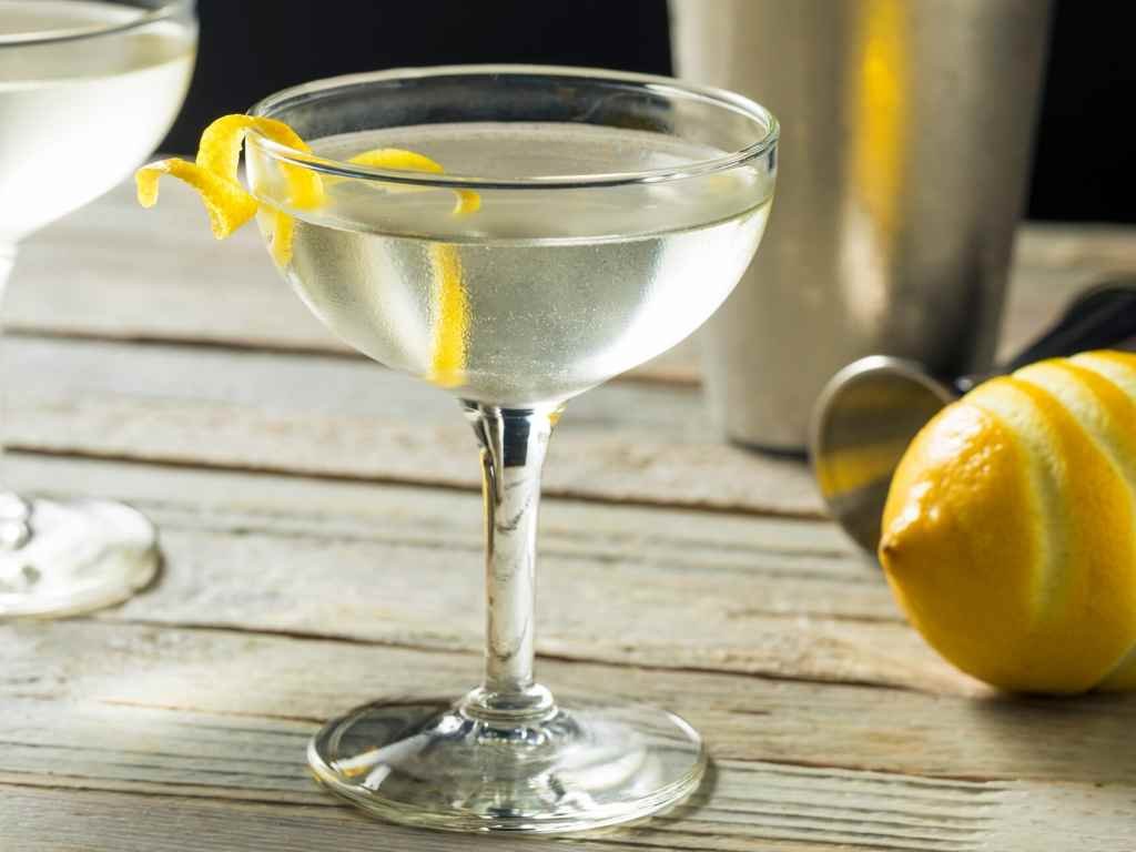 Classic Gin Martini Recipe