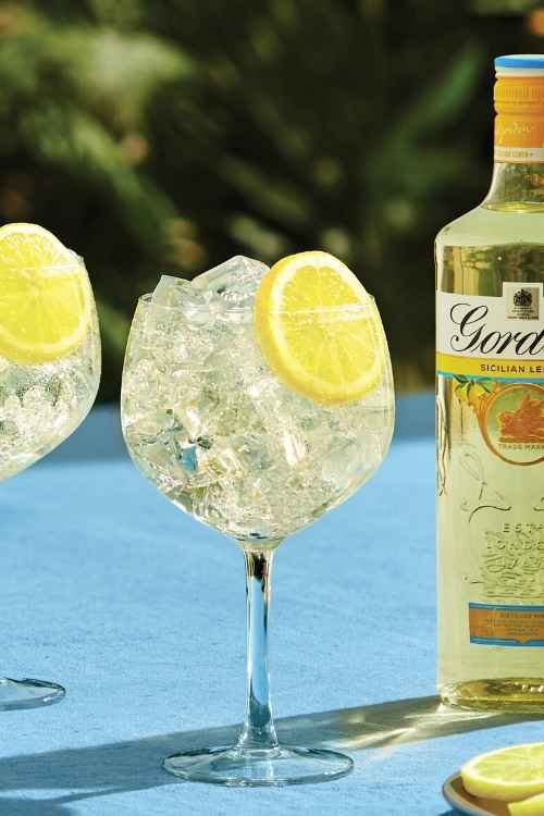 10 Easy Gin Cocktails To Try at Home