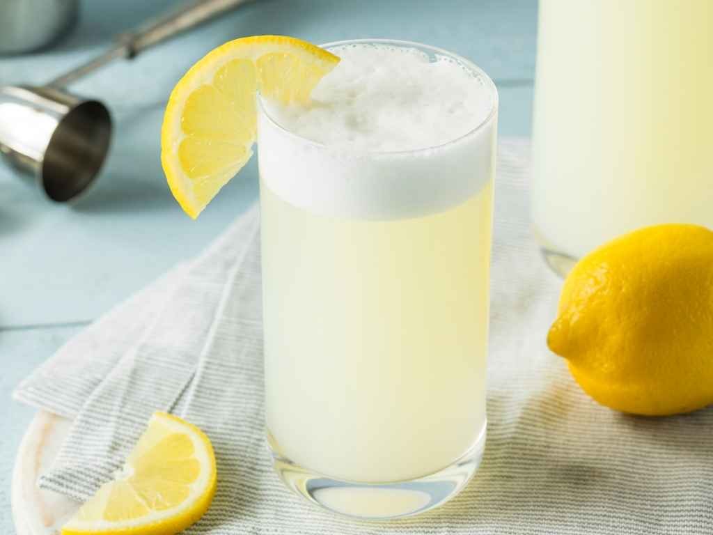 Gin Fizz – Cocktail Recipe