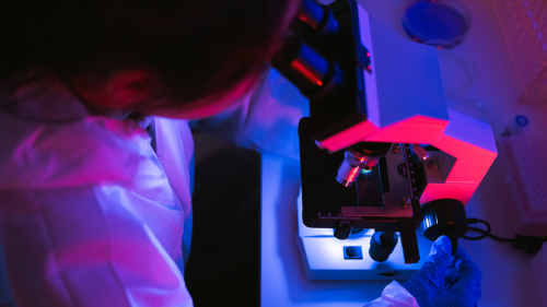 What it's really like in pathology—from 4 physicians who know