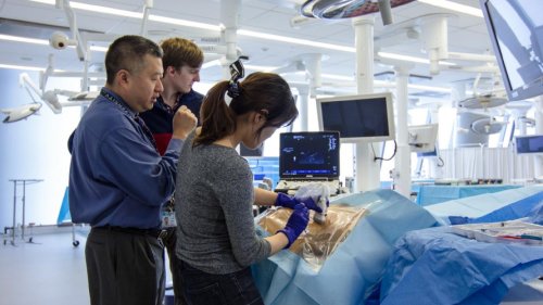 Online, simulation scenarios ready med students for residency