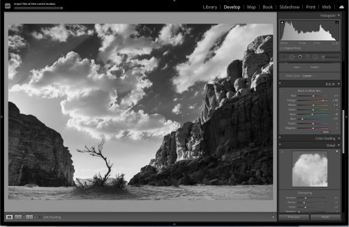 How to create stunning black and white photos