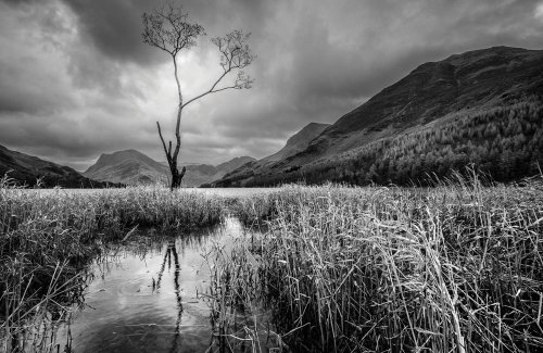 Complete guide to black and white photography
