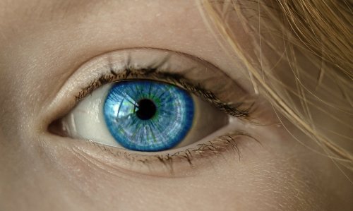 Comment notre cerveau nous fait-il vivre dans un monde de fiction ?