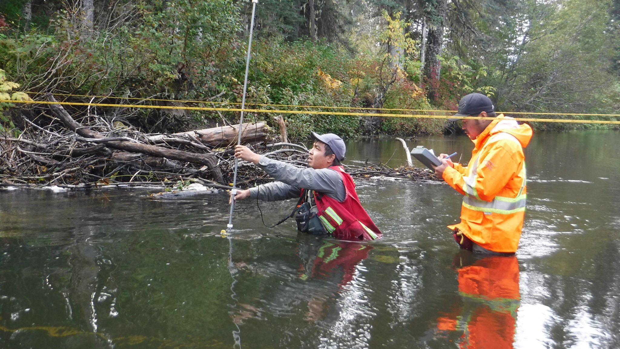 Chiefs tell B.C. court LNG project threatens salmon rights