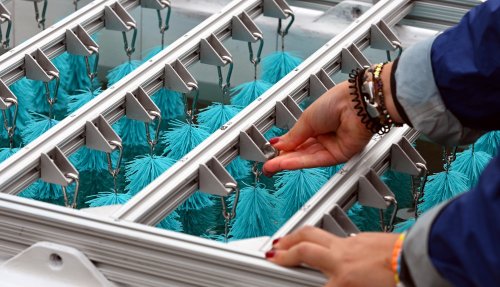 This Startup Floats a Biomimetic Solution to Microplastic Pollution