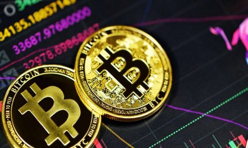 Bitcoin investors who can’t ‘bear’ the price fall should take note of this