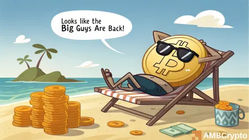 Bitcoin ETFs hit record inflow: 500x surge breaks 2025 trend! - What now?