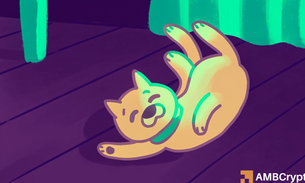 Dogecoin faces a sharp sell-off: What’s behind DOGE’s tumble?