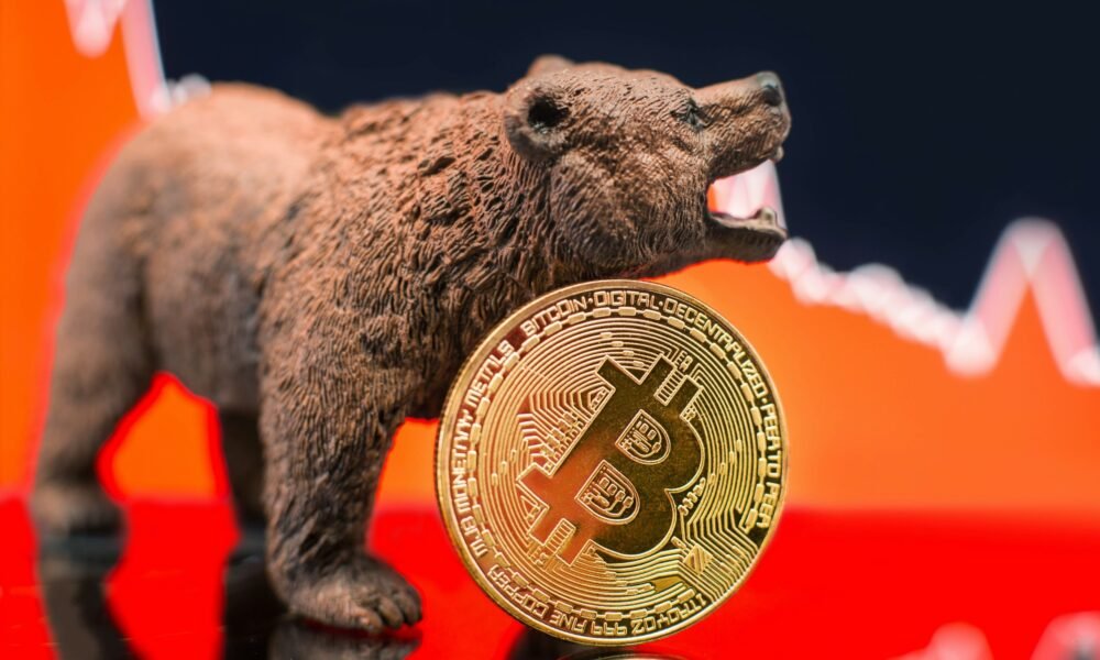 2013 bitcoin bull market
