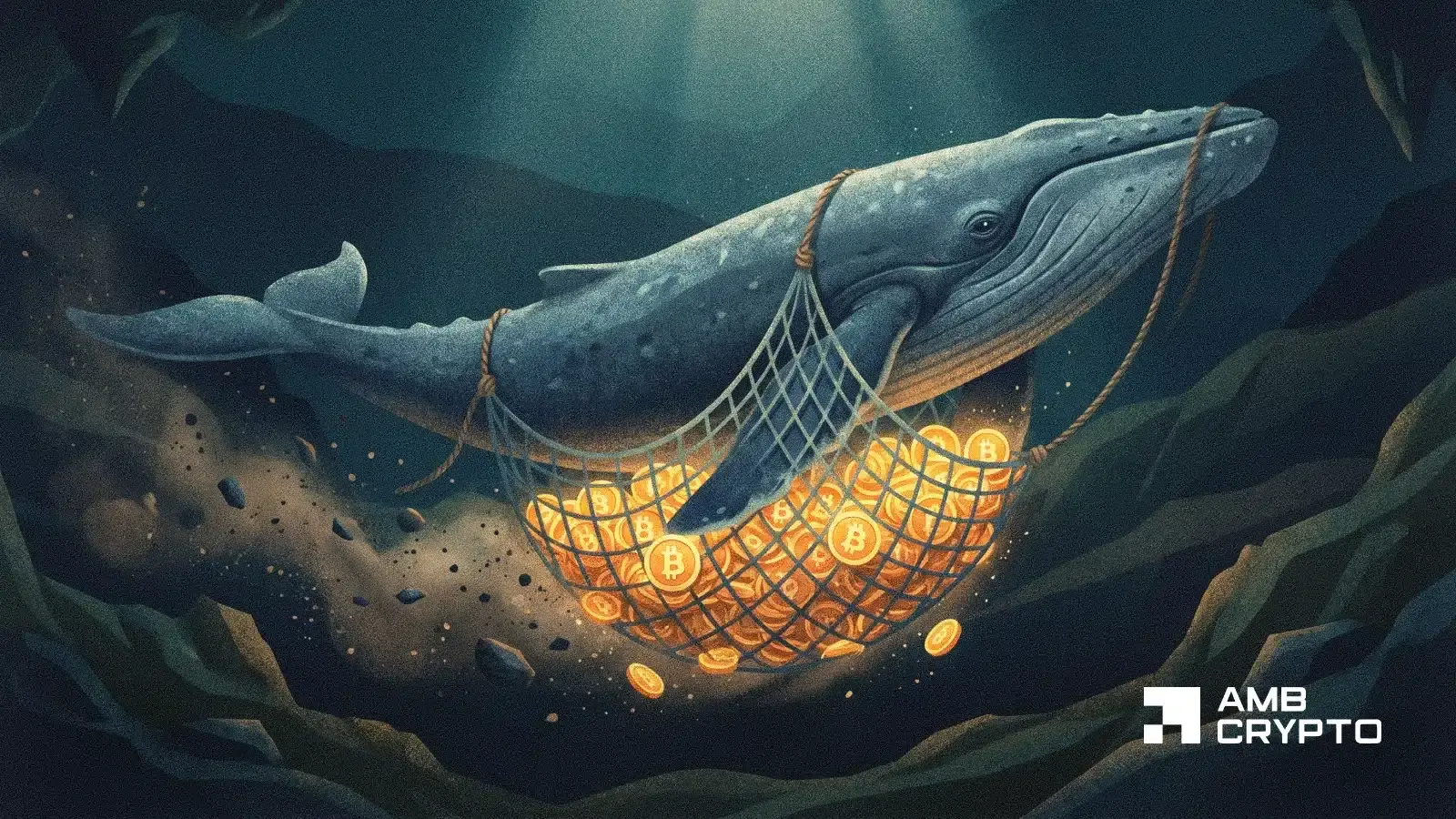 Bitcoin Futures hit $800T as whales pile in - Is demand for BTC back? - AMBCrypto