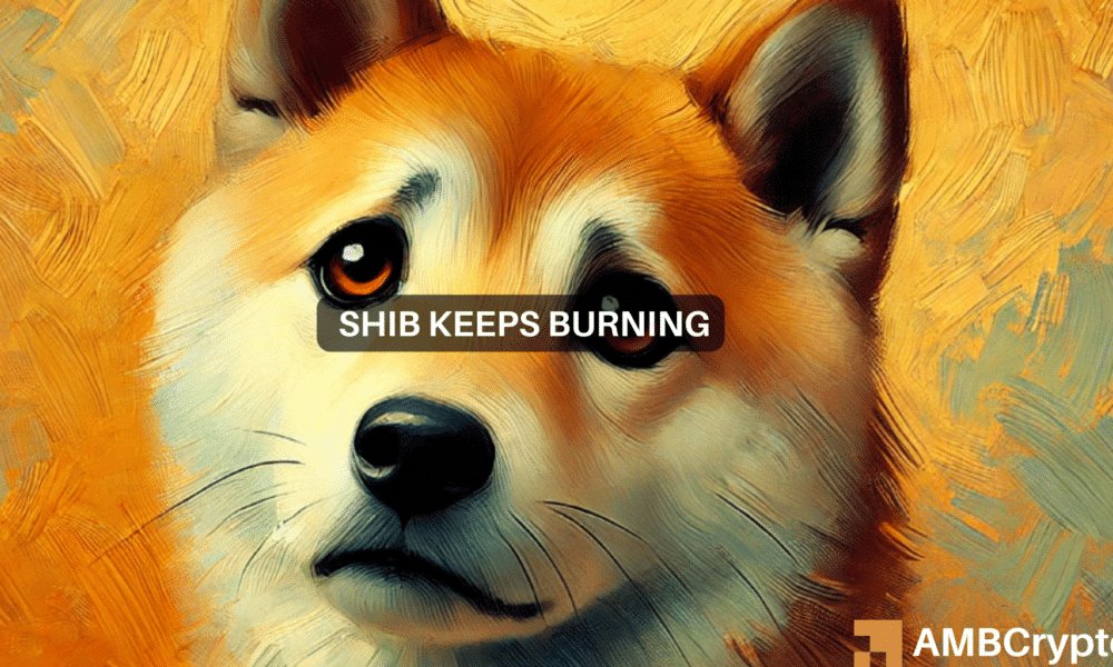 SHIB BURN RATE SURGES 254,000%