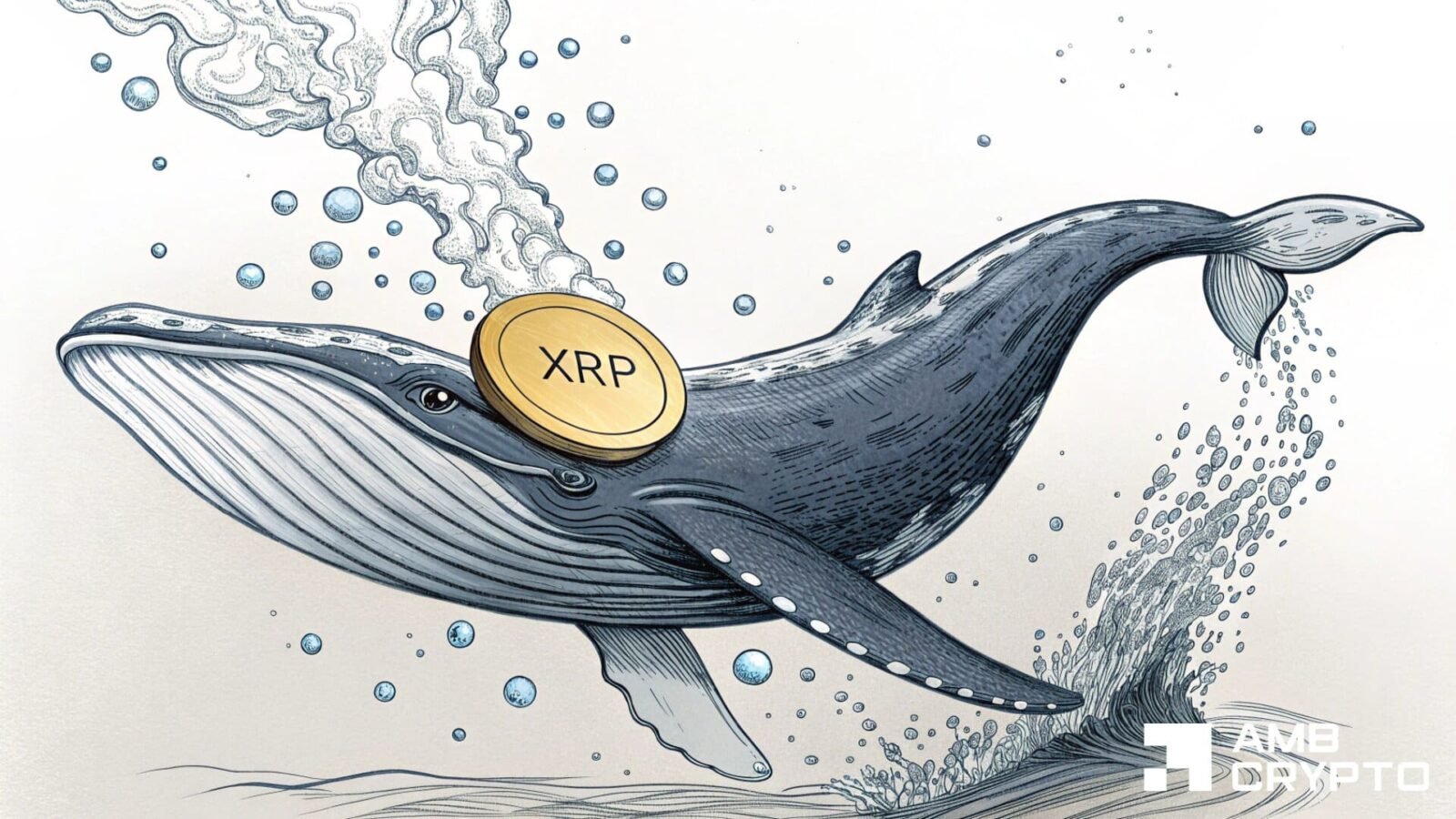 XRP whale's 50M transfer sparks accumulation talk after 13% weekly drop - AMBCrypto