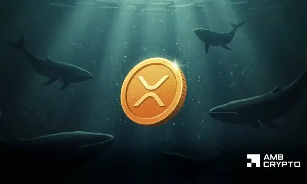 XRP resilience vs. Bitcoin’s macro‑driven weakness: Impact on investor sentiment