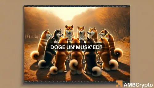 Dogecoin - 'Not Elon Musk' buys DOGE worth $45M leaving many asking...