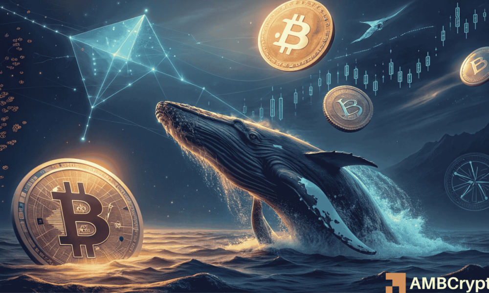$10B Bitcoin whale moves $360M in BTC, fuels ETH rotation trends – Details