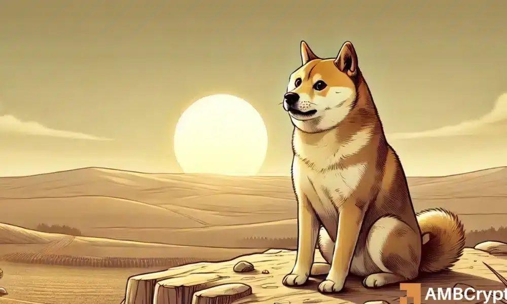 Dogecoin: Breaking down why DOGE’s $0.23 support is under threat