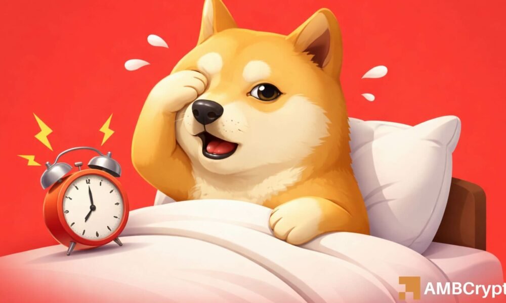 DOGE steadies after 35% January surge, but THIS level decides what’s next!