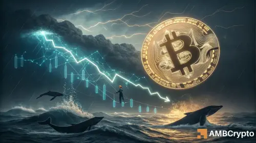 Bitcoin: THIS indicator mirrors 2024’s bull run - Will history repeat?