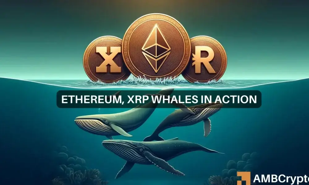 As Ethereum and XRP collapse, whales start to buy: Sign of a bull run?