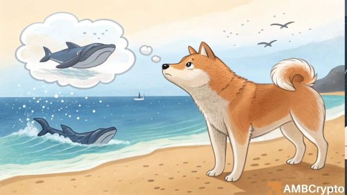 Shiba Inu whale activity collapses 66% – $0.000014 on the line