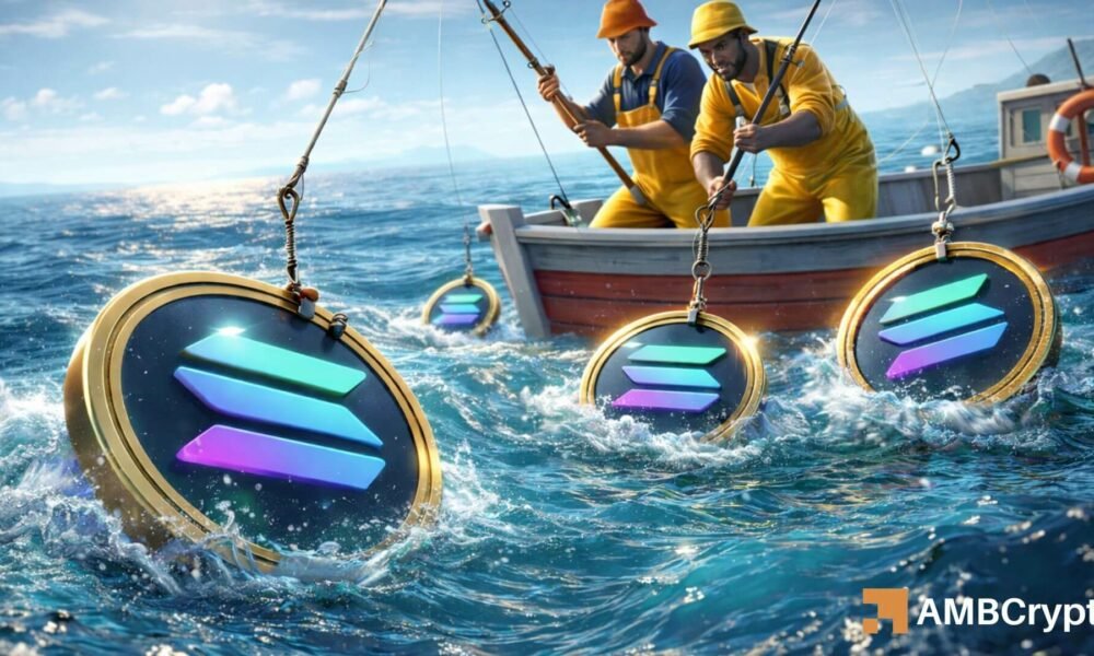 Liquidity floods Solana as SOL reclaims EMA Ribbon to hit $85 – Details