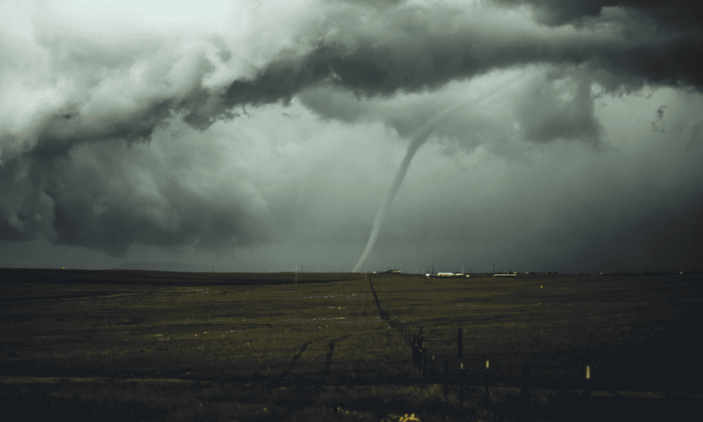 USDC, USDT, BUSD caught in the midst of tornado- Here’s how