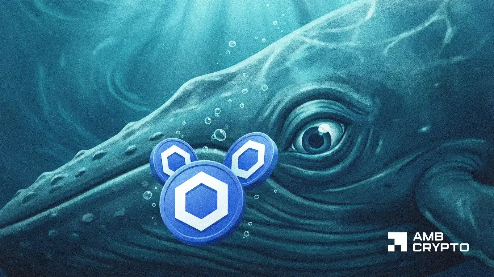 Chainlink whale wallets hit record highs! Will LINK's rally continue? - AMBCrypto