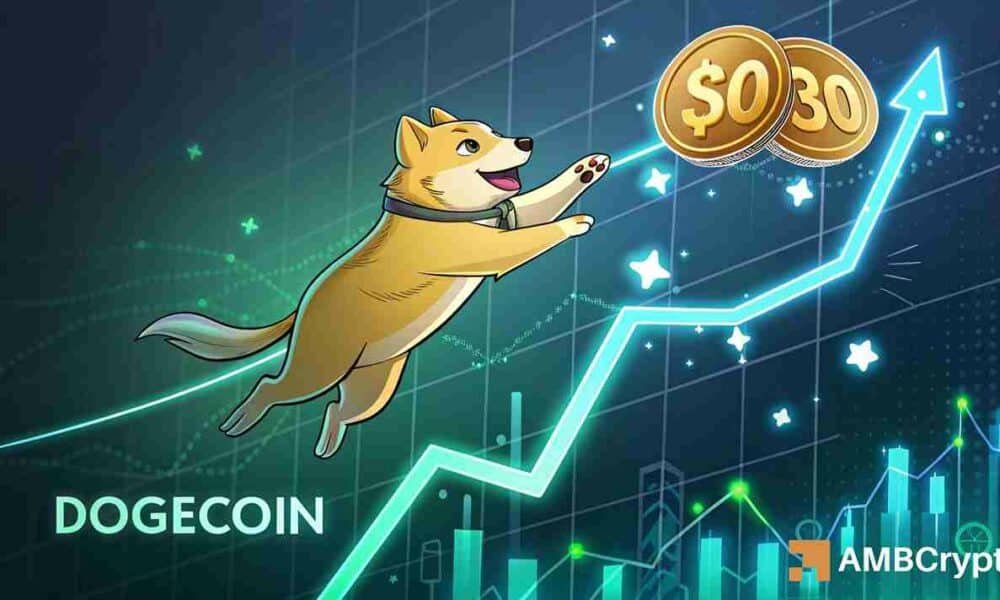 Why Dogecoin bulls must watch THIS hurdle after $0.22 rebound