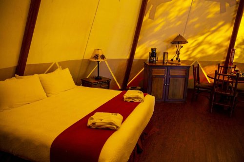 Central Florida ranch voted top glamping destination nationwide